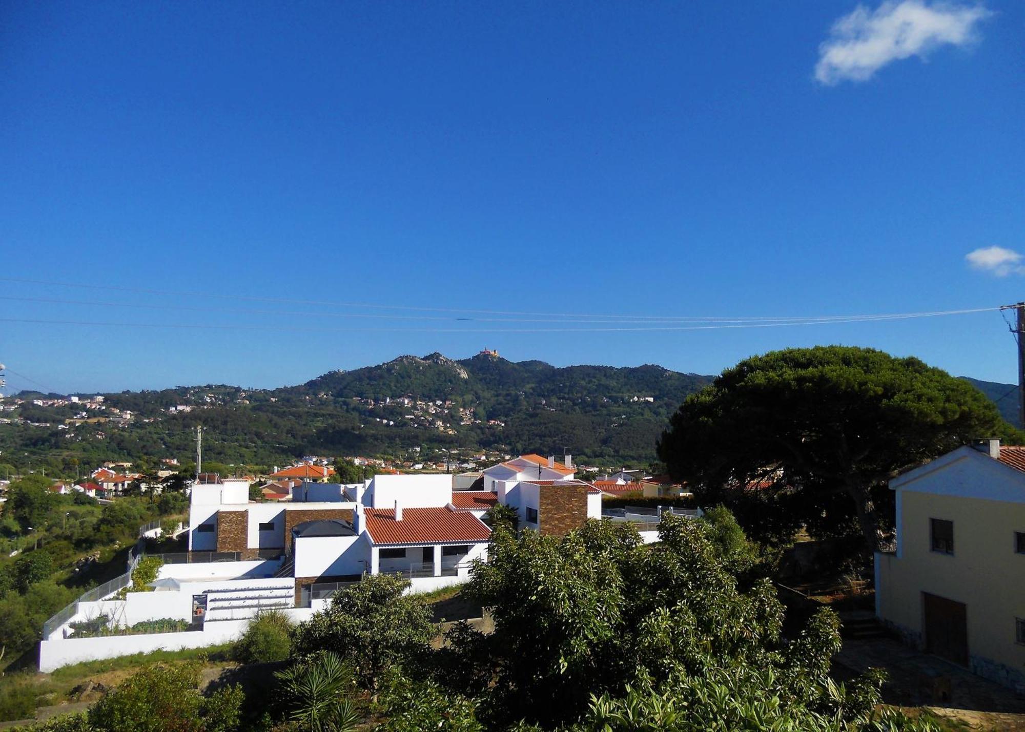 Galo Preto - Sintra Guesthouse 객실 사진